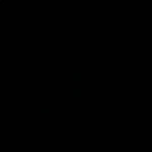 Meet your Posher, Kiana